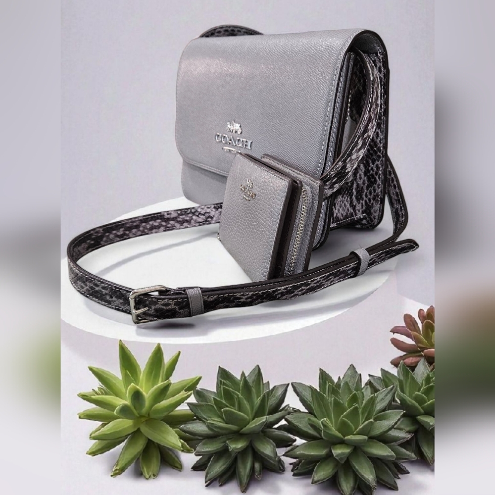 Coach Brynn 2021 NWOTs Gray Crossbody Bag and Wallet Set - Picture 2 of 14